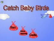 Play Catching baby birdz
