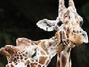 Play Cute giraffes slide puzzle