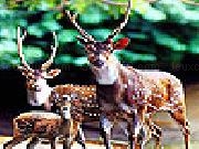 Play Deers family slide puzzle