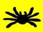 Play Tarantula attack td