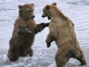 Play Bear attack tower defense