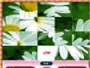 Play Flower photo puzzle