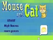 Play Mouse and cat