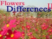 Play Flowers differences 2
