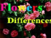 Play Flowers differences