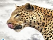 Jugar a Leopard jigsaw puzzle