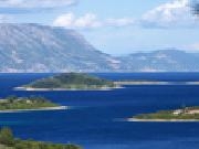 Jugar a Jigsaw: capybara