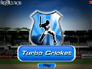 Play Turbo cricket