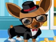 Play Fleego doggy dressup