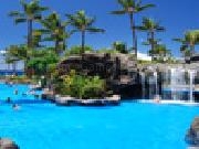 Play Tropical paradise