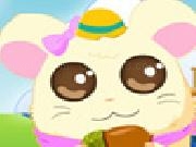 Play Sweetest hamster dress up