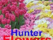 Play Flowers hunter