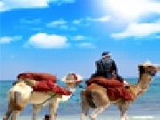 Play Camels on the beach jigsaw