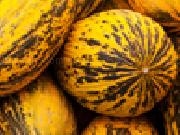 Play Jigsaw: yellow melons