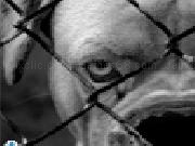 Play Bad dog jigsaw puzzle