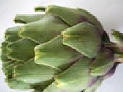 Play Jigsaw: artichoke