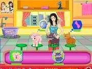 Play Brittany birt : pets care
