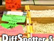 Play Diffspotter 5 - random