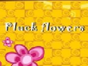 Play Pluckflowers