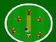 Play Mini cricket