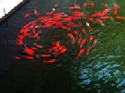 Play Jigsaw: swirling fish