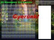 Play 60 second word search - hungarian edition