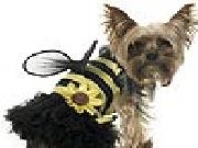 Play Sweet dog slide puzzle