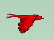 Play Eye of the falcon hunter