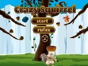 Play Crazy squirrel