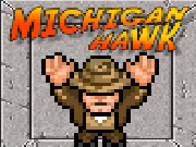 Play Michigan hawk