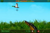 Play The duck hunter