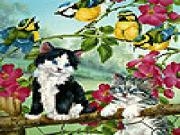 Play Crazy cats and birds slide puzzle