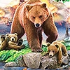 Play Grizzly bear and cub bears slide puzzle