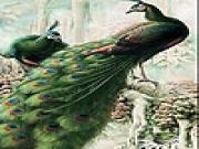 Play Fantastic peacocks slide puzzle