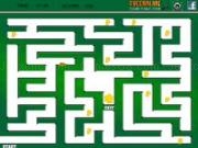 Play Night rat maze