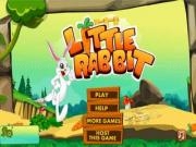 Play Little rabbit