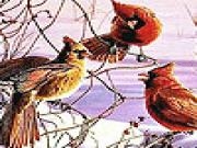 Play Chatter birds puzzle
