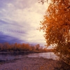 Play Jigsaw: autumn sunset