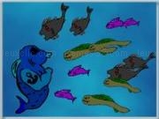 Play Fish hunter deluxe