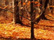 Play Orange leaves in fall jigsaw puzzle