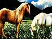 Play Fantastic horses hidden numbers