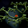Play Twigs and bud jigsaw puzzle