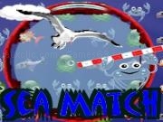 Play Sea match