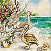 Play Pelicans on the island slide puzzle