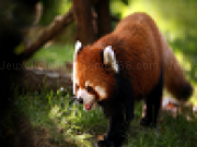 Play Red panda slide puzzle
