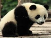 Play Panda jigsaw