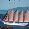 Play Jigsaw: schooner