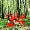Play Deer hunting