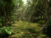 Jugar a Amazon race 2