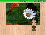 Play Camomile
